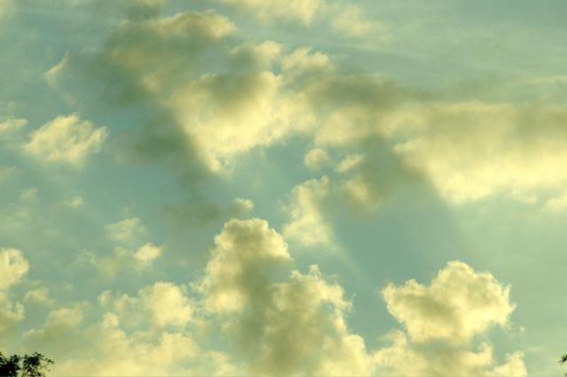 Soft Light